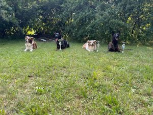 Grosser-Preis-2025-7