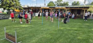 WhatsApp-Bild-2025-07-31-um-11.40.07 8338b0e5